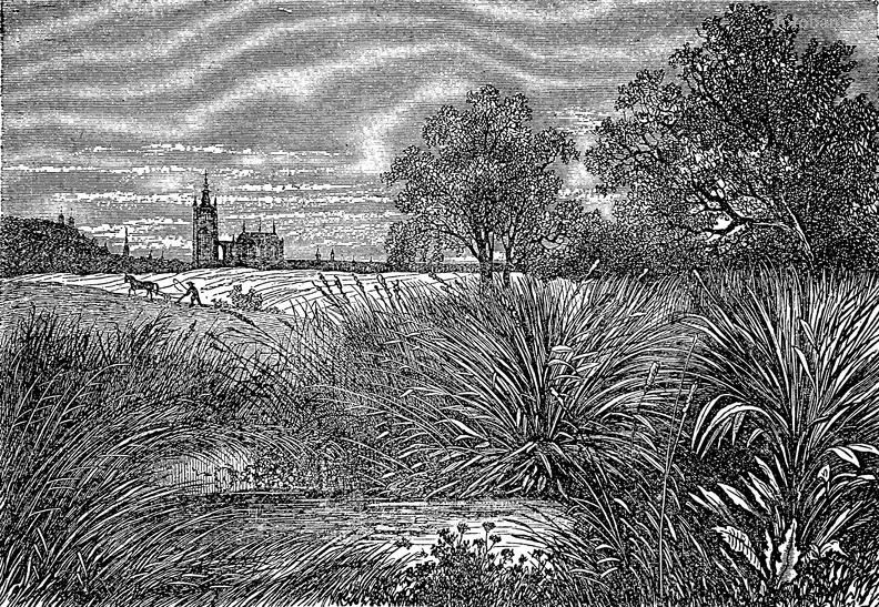 rytina, Jezerka v Michli, v pozadí Hradčany. Dřevorytina podle kresby Bohumila Kroupy. Světozor 1868, datum: 1.1.1868 JK000649 rytina Jezerka.jpg