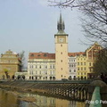 DSC02951
