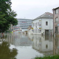 DSC03498