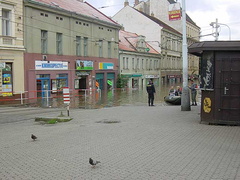 DSC03543