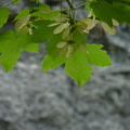20160717 1358