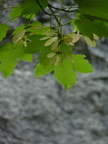 20160717 1358