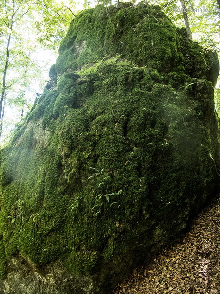 20160827_2286.jpg