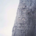 BrentaP 05a