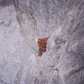 Brentap 32