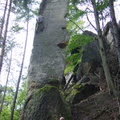 DSC01634