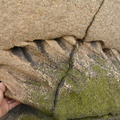 20100613 0089