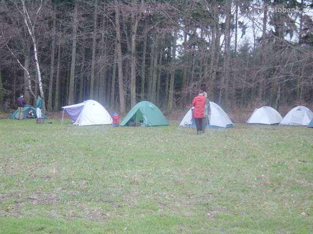 DSC00832.jpg