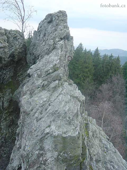 DSC00835.jpg