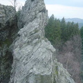 DSC00835