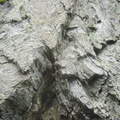 DSC00865