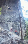 D001 33 06