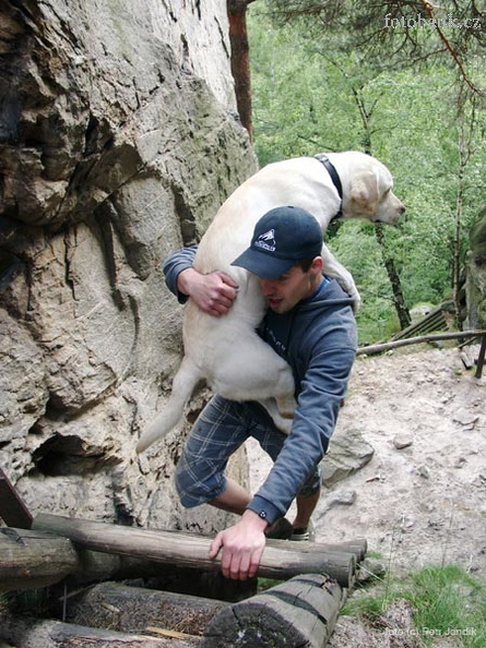 Na ìebÞ’ku do sedla mezi hlavn’ a stÞedn’ vžì’ lze vidžt i transport ‹tyÞnohùch pÞ‡tel.
digit‡ln’ sn’mek 8 Mpix
foto (c) Petr Jand’k 06110023.jpg