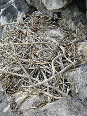DSC01702