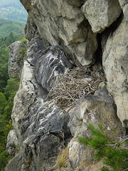DSC01703