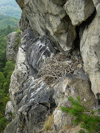 DSC01703