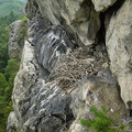 DSC01703