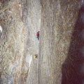 TXIII 11