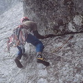 TXII 33