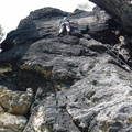 DSC03311