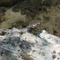 DSC03397