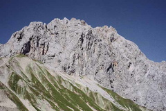 skarspi