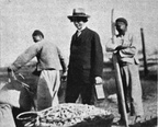 JK000683