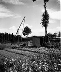 JK000690